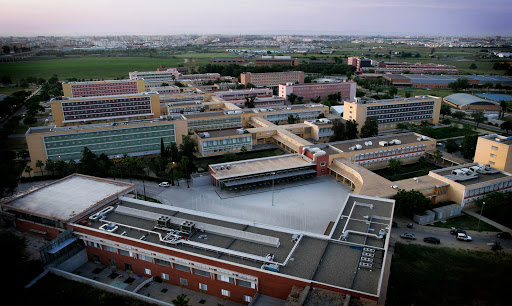 Universidad Pablo de Olavide Sevilla