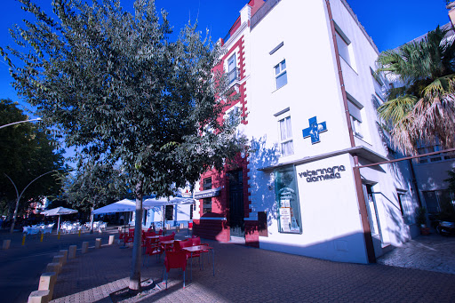 VETERINARIA ALAMEDA SEVILLA