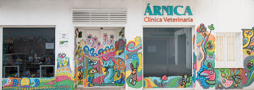 Clínica veterinaria Árnica. Tu veterinario en el centro de Sevilla