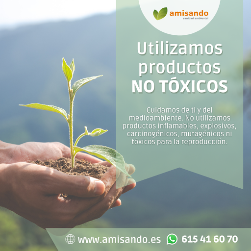 Control de Plagas Sevilla Servicios de sanidad ambiental para empresas Amisando