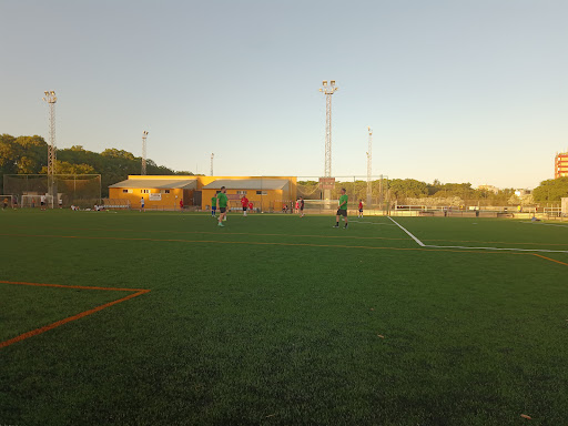 Campo De Futbol