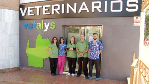 VETALYS VETERINARIOS SEVILLA