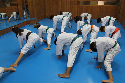 Kidokan Dojo - Artes Marciales Sevilla