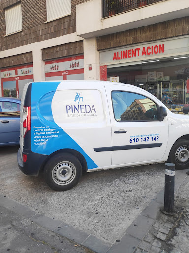 Pineda Servicios Integrados