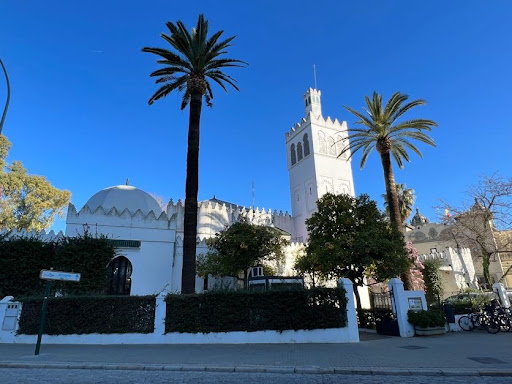 Servicio Parque y Jardines Ayuntamiento de Sevilla