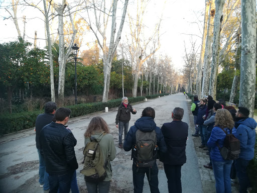 Plan Ve Consultoría y Formación en Arboricultura y Paisajismo