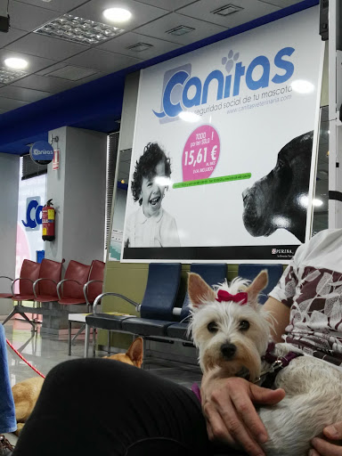 Canitas Veterinaria Sevilla - Luis Montoto