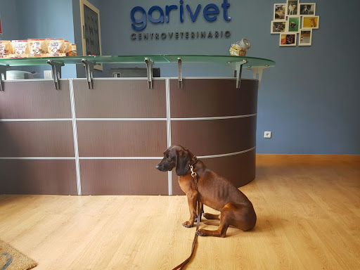 Garivet Centro Veterinario