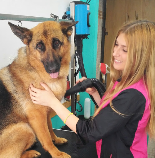 Peluquería canina Por los Pelos