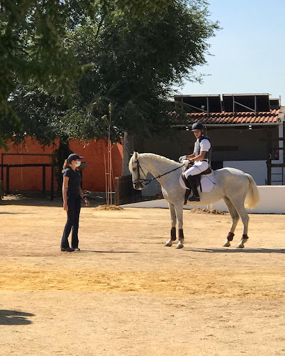 Centro Hípico El Bosque Clases de Equitación Sevilla