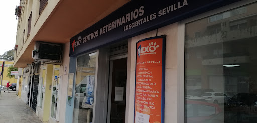 Clínica Veterinaria Nexo Loscertales