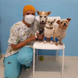 CLÍNICA VETERINARIA PORTACOELI S.L.