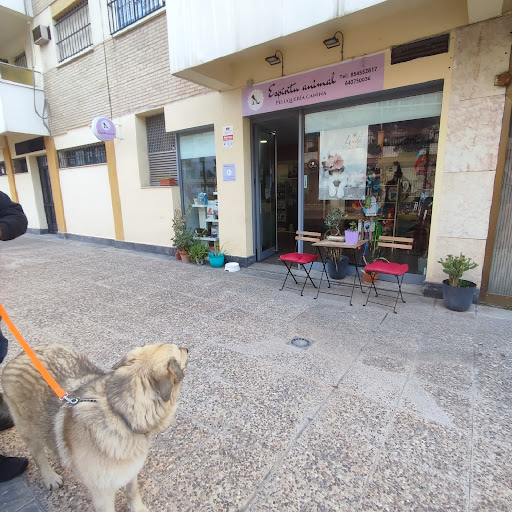 ESPÍRITU ANIMAL PELUQUERÍA CANINA