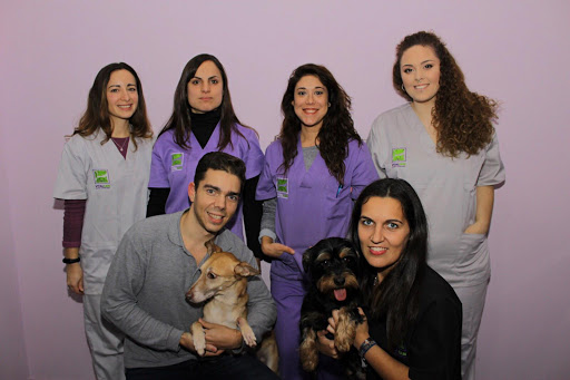 Vitalcan Centro Veterinario Urgencias 24h