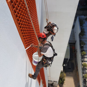 Dalí Trabajos Verticales