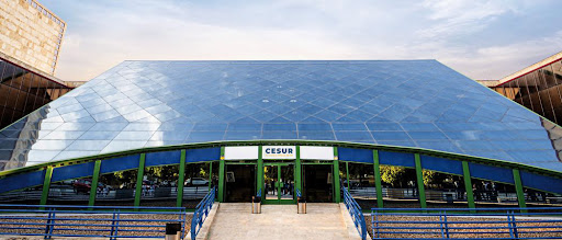 Cesur Sevilla Cartuja - Formación Profesional