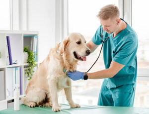 Hospital Veterinario La Salle