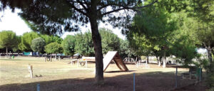 Zona de esparcimiento canino