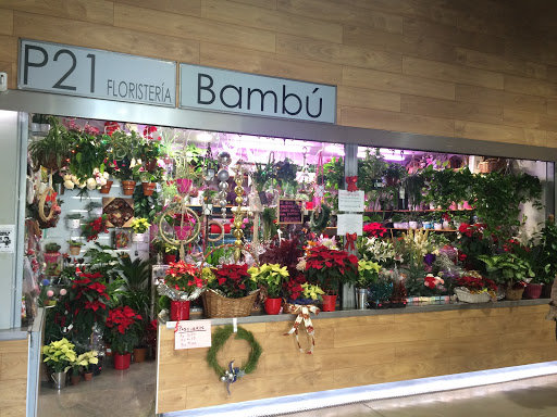 Bambú Floristería