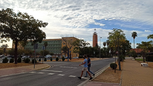 Universidad Pablo de Olavide Sevilla