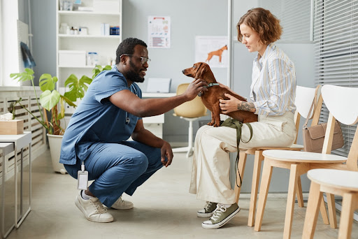 Hospital Veterinario La Salle