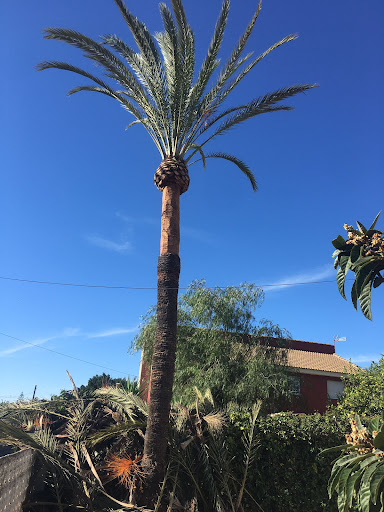 Empresa Jardinería       - Jardinero en Sevilla