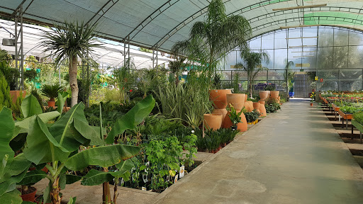 Vivero Garden Center Belmonte