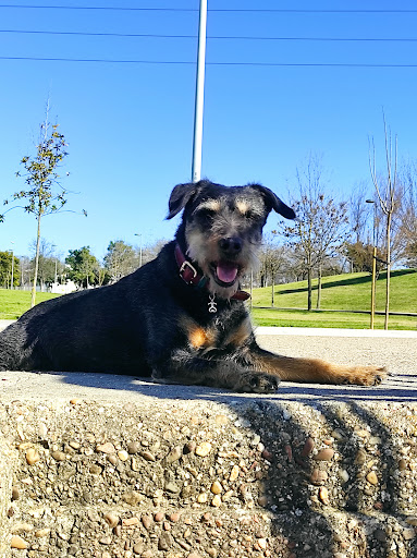 VETERINARIA ALAMEDA SEVILLA