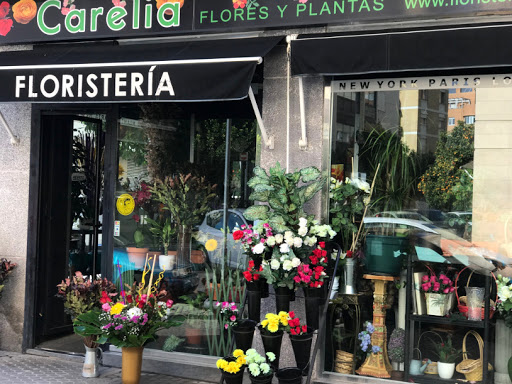 Floristería en Sevilla Carelia