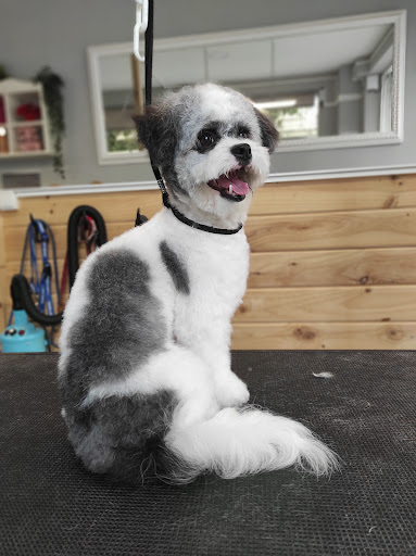 Peluquería Canina. Lidia Ortiz