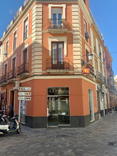 Cenis.es Centro inmobiliario del sur