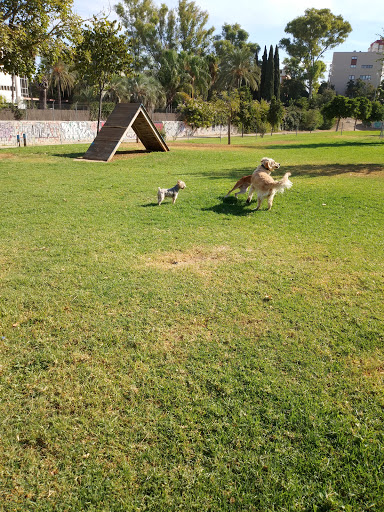 Parque Perros Agility