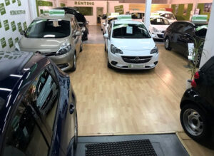 Autorentingdelsur