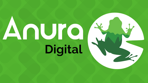 Anura Digital - WEB, SEO y SEM. Diseño y desarrollo web, Posicionamiento en Internet y Campañas de publicidad online