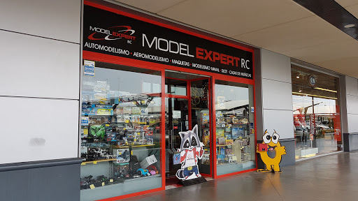 Model Expert Rc