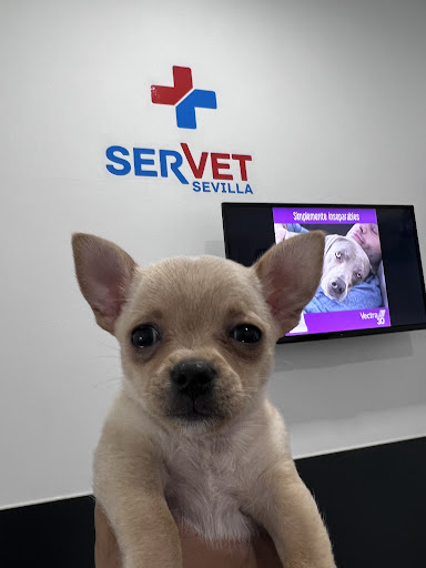 Clínica Veterinaria Servet Sevilla