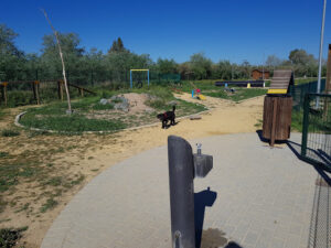 Parque Canino