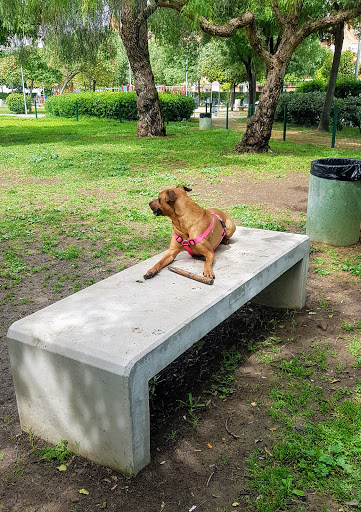 Parque Canino