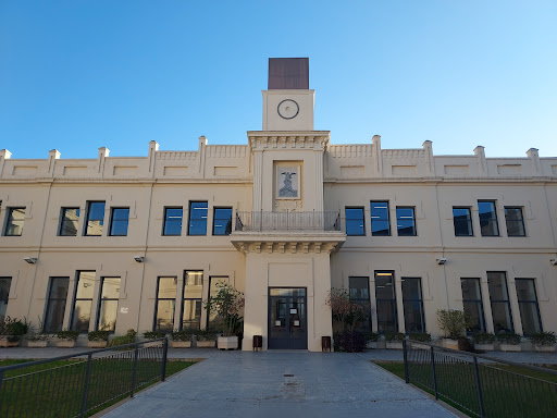 Facultad de Derecho (Universidad de Sevilla)