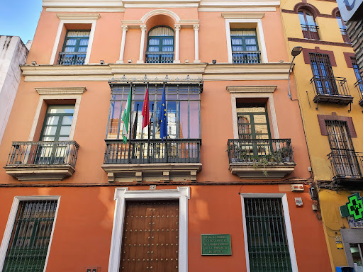 Real e Ilustre Colegio Oficial de Farmaceuticos de Sevilla