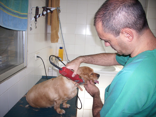 Centro Veterinario Macarena