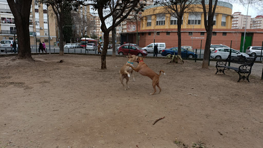 Parque para perros