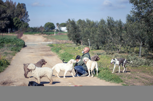 Residencia Canina Huellas de Aldebarán