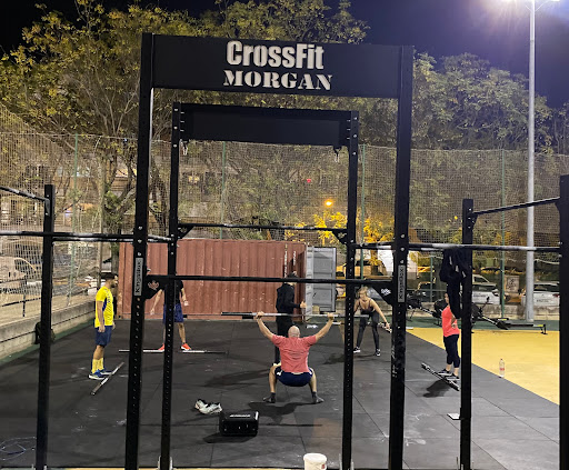 Crossfit 41010 morgan box