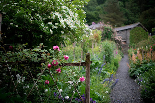 JARDINDAY tienda online de jardinería y suelos de caucho