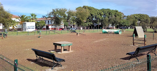 Parque canino