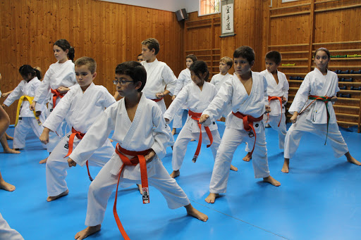 Kidokan Dojo - Artes Marciales Sevilla