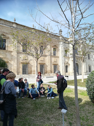 Plan Ve Consultoría y Formación en Arboricultura y Paisajismo