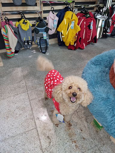 Inmacan Peluquería Canina