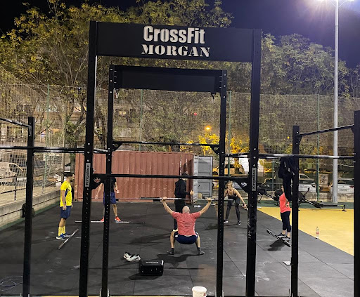 Crossfit 41010 morgan box